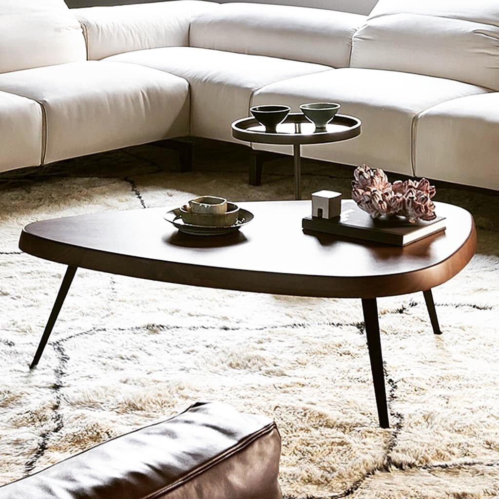 BEAN SHAPED COFFEE TABLE